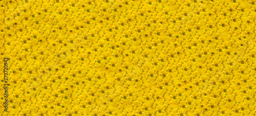 Wallpaper Mural beautiful yellow abstract background of bright yellow chrysanthemums Torontodigital.ca