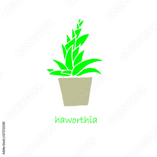 haworthia, in pot, icon, set, flat design, object, isolated, stock, vector. illustration. for web, for print, art, green, grey