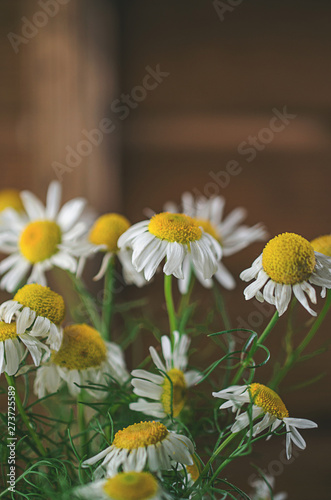 Aromatherapy by herbs camomile  medicine