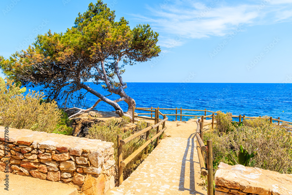Viewpoint on coastal path from Palafrugell to Llafranc on beautiful summer day, Costa Brava, Spain