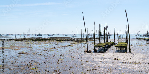 oysters in the village of Arcachon in web template panoramic header banner