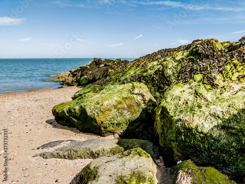 rock and sea