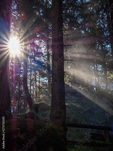 Water spray against the light in the forest at the Gollinger Waterfall
