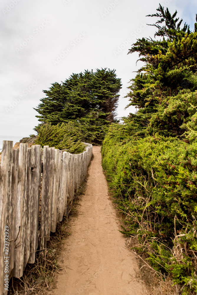 Coastal trail with fence and green space on either side Coastal trail with fence and green space on either side