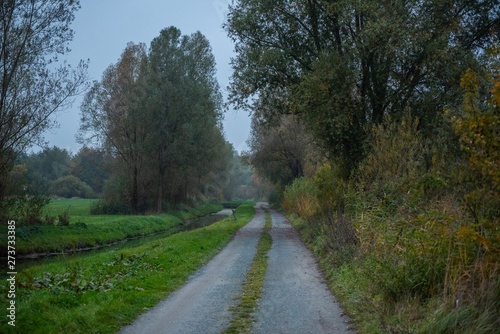 road in the forest