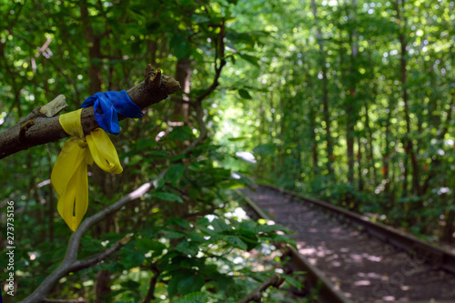 Two ribbons of the colors of the Ukrainian flag: yellow and blue on the branch. Railway between the trees that create a tunnel of green leaves. Klevan, Ukraine, romantic "Tunnel of love". Travel.