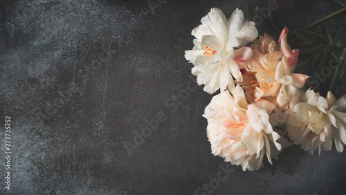White and pink peonies frame on dark background