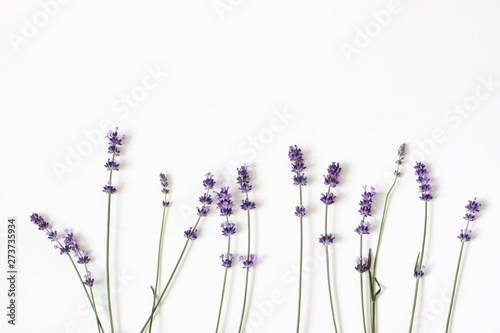 Fototapeta Naklejka Na Ścianę i Meble -  Blooming purple lavender flowers isolated on white table background. Decorative floral frame, web banner with Lavandula officinalis. French summer design, aromatherapy concept. Healthy fragrant herbs.