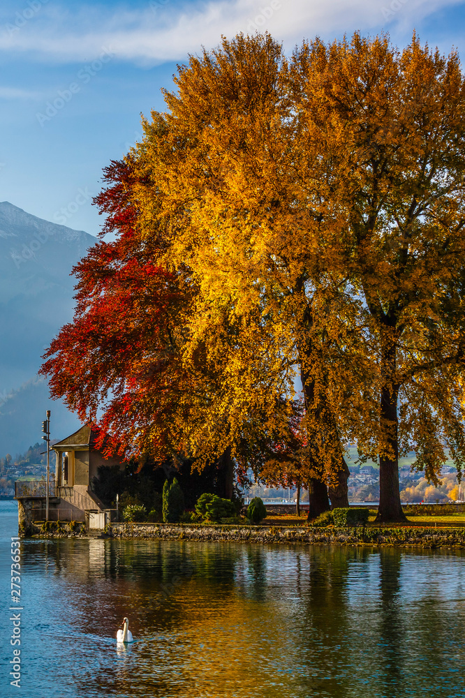 Obraz premium the lake of Thun, Switzerland