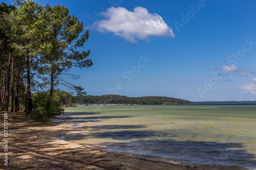Fototapeta Naklejka Na Ścianę i Meble -  lac de biscarosse
