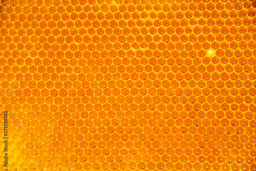 Bienenhonigwaben