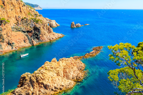 White boat in beautiful sea cove of Cala Marquesa with green pine trees on high rock cliffs, Costa Brava, Spain