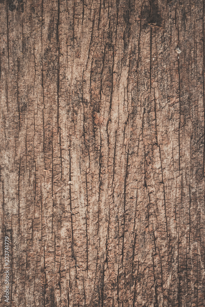 Fototapeta premium old wood texture