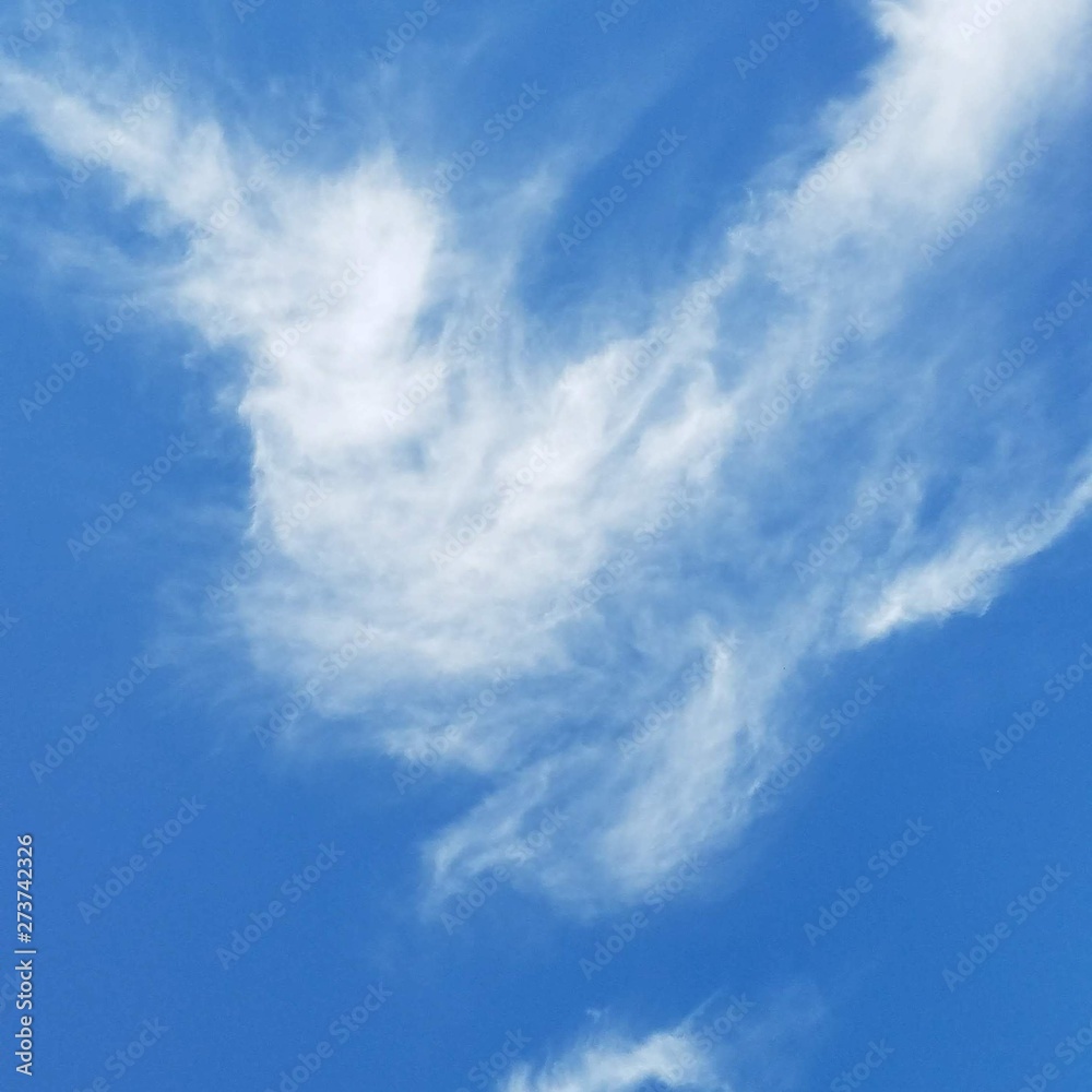 Obraz premium blue sky and clouds
