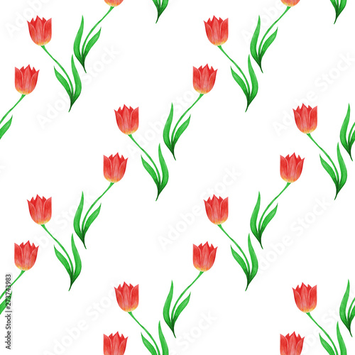 Seamless pattern of different tulips isolated on a white background.