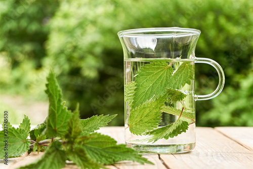 Fresh herbal nettle tea. Green nettle leaves in a glass in a garden on a wooden table with fresh leaves in foreground. Common or stinging nettle 