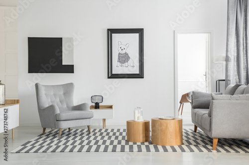 Fototapeta Naklejka Na Ścianę i Meble -  Comfortable grey armchair in elegant living room interior with white furniture and two wooden coffee tables