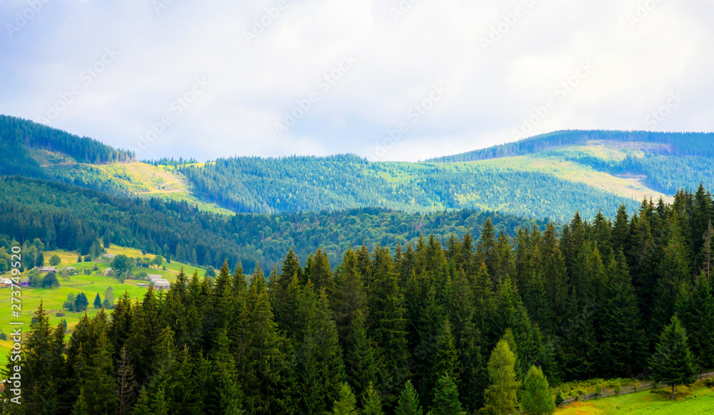 Obraz premium Beautiful summer landscape wint mountains