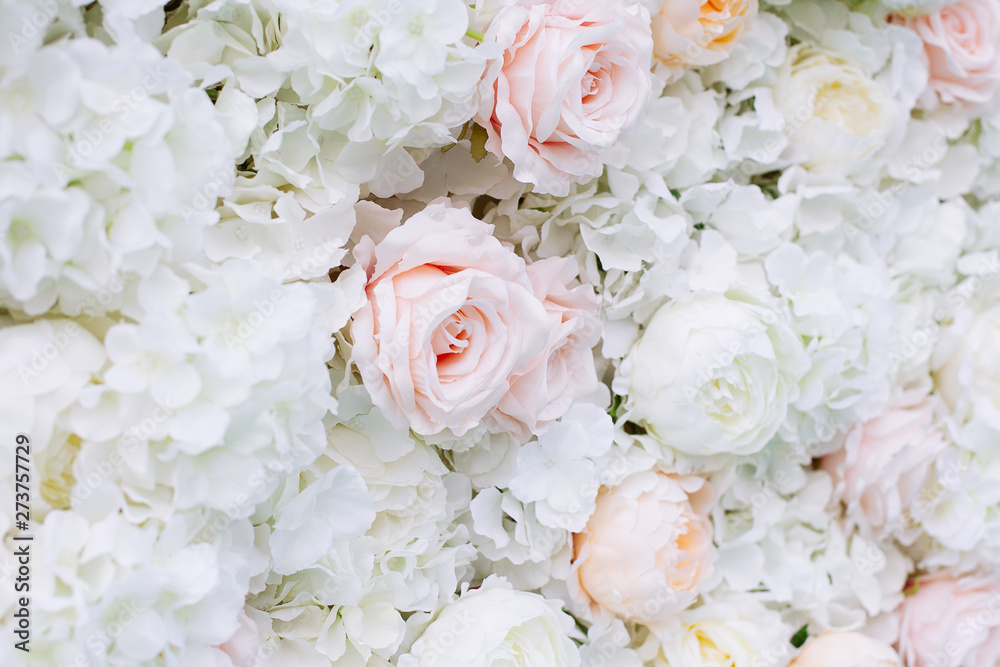 Flowers wall background with white and light orange roses. Flowers wall background with white and light orange roses.