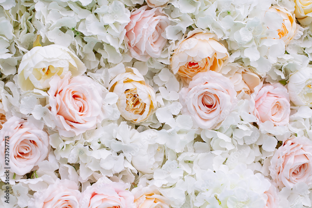 Flowers wall background with white and light orange roses.