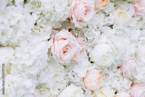 Flowers wall background with white and light orange roses. © Nastya Tepikina