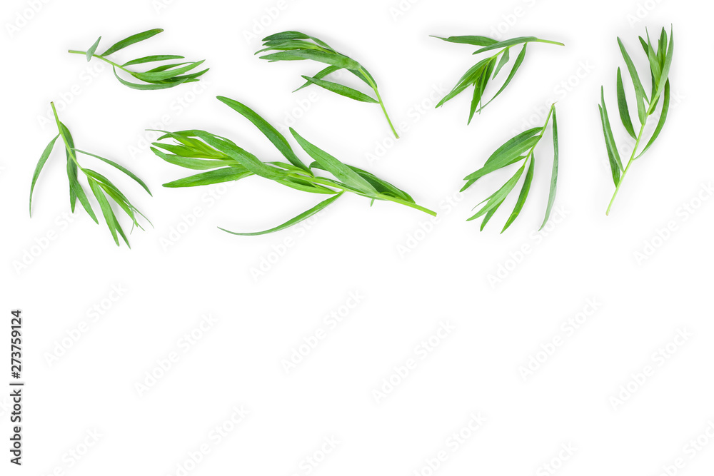 Fototapeta premium tarragon or estragon isolated on white background with copy space for your text. Artemisia dracunculus. Top view. Flat lay