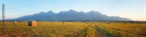 View on lake and mountains in beautiful High Tatras national park nature, Slovakia