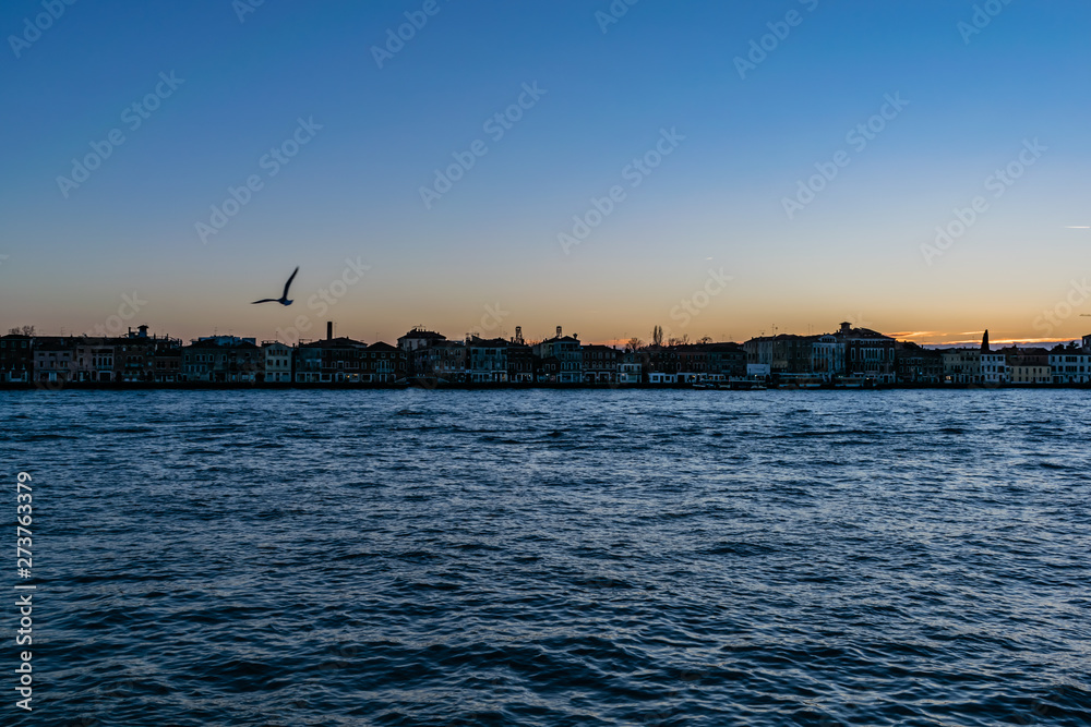 Seagull Photobombing A Venetian Sunset