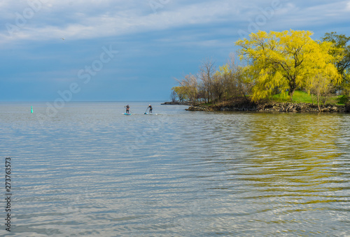 landscape with lake and trees