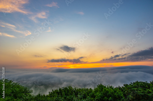 Foggy morning on the bank of the river Dniester