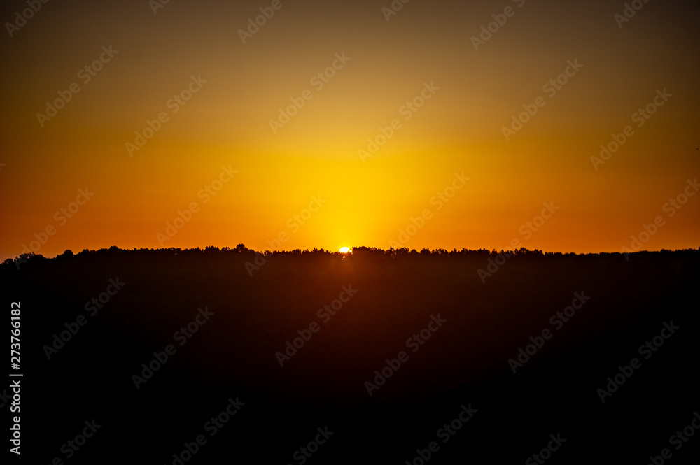 Sunrise over the forest on a summer day