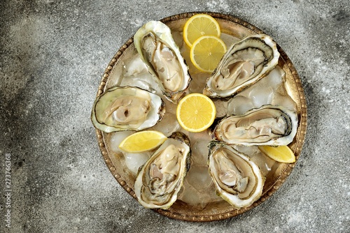 Open fresh oysters with lemon slices on a dish with ice cubes. Top view. 