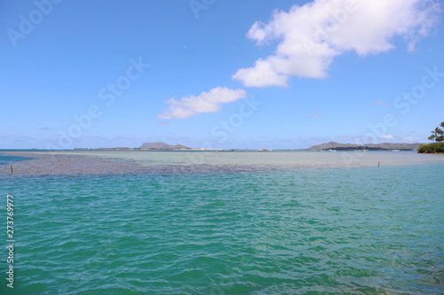 ハワイ オアフ島 ターコイズブルーの海と青空の風景