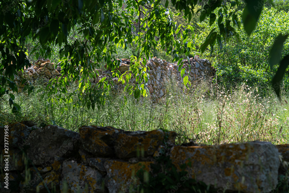 The island of Hvar