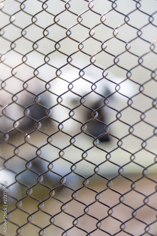 Fototapeta premium Texture of Tightly Woven Chain Link