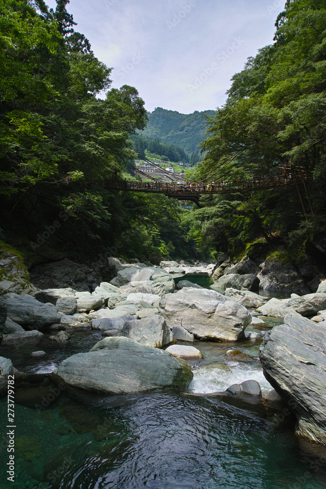 Fototapeta premium 大歩危小歩危