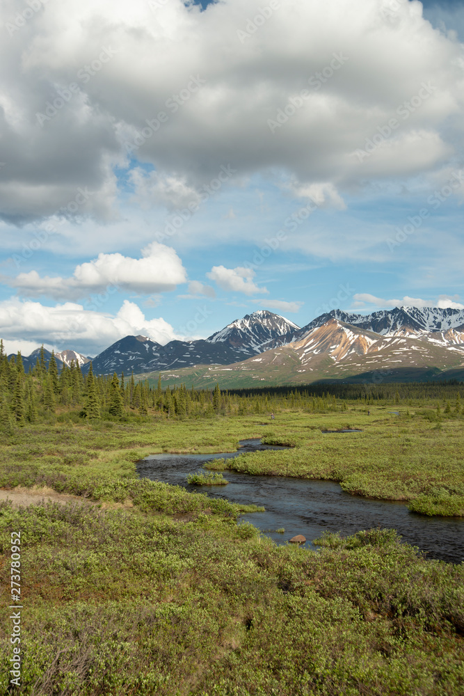 winding creek flowing in green grass meadow toward snow capped mountains in Alaska. winding creek flowing in green grass meadow toward snow capped mountains in Alaska.