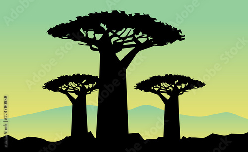 baobab tree on wpap popart style