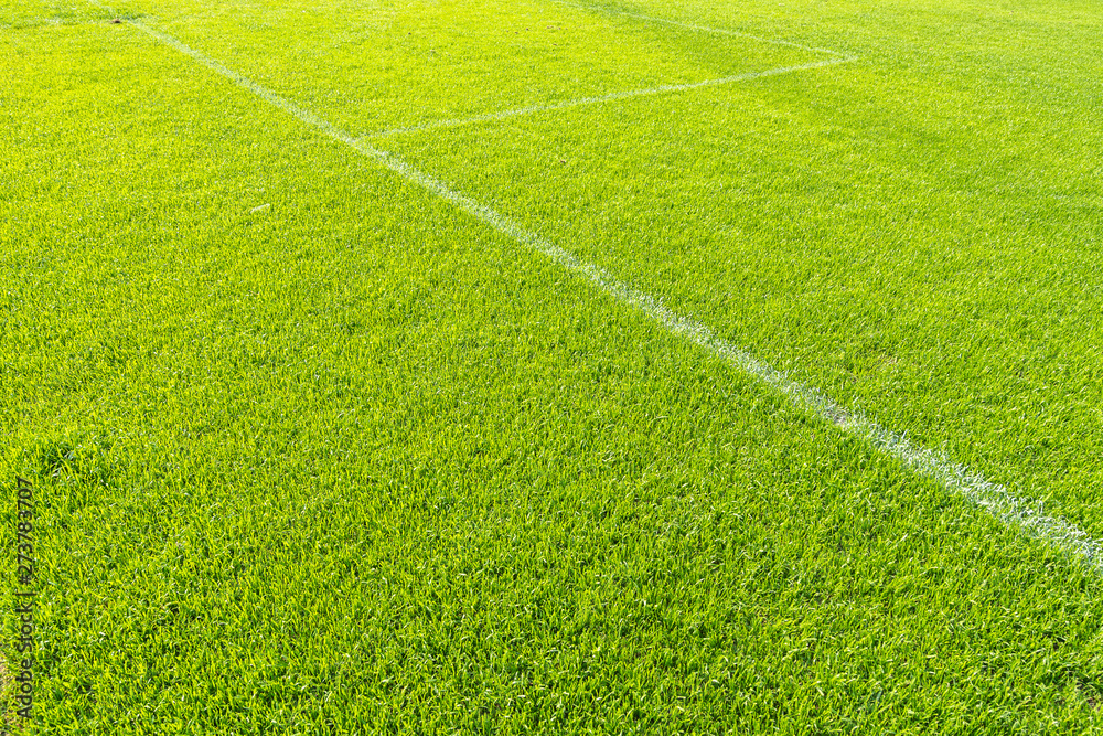 green field with grass and lines green field with grass and lines