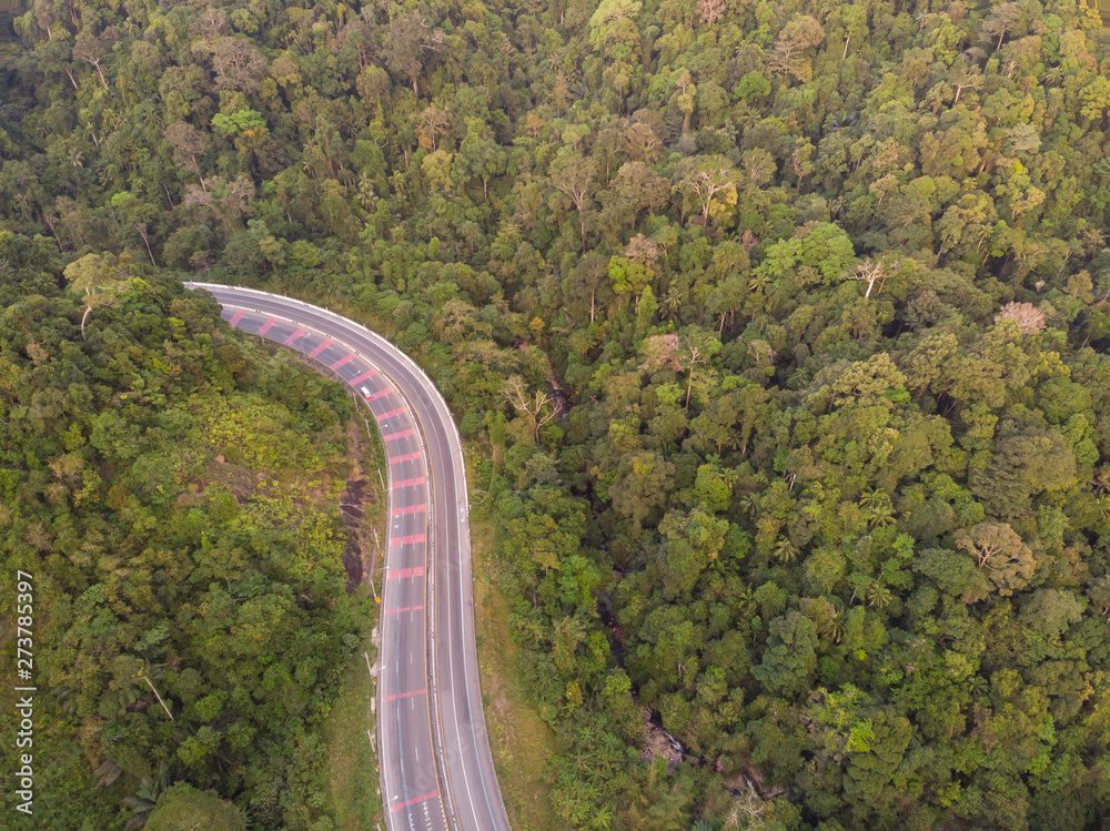road and forest aerial view road and forest aerial view