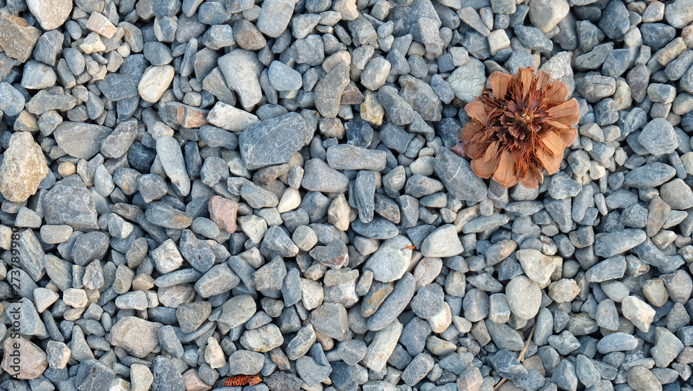 A brown conifer cone on ground full with small pebble stones. View from top.