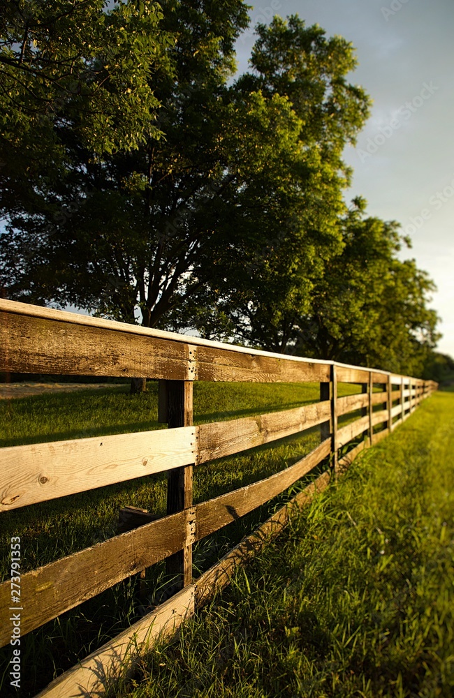 Fence