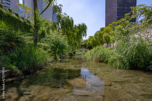 Urban creek showing calm and transparent clear water photo