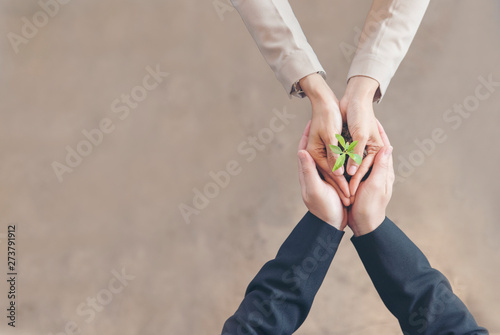 Sustainable Collaboration Green Ecology Business Company. Trust Partners Team Welcome hands holding green plant together. Hands Stacked of Partners with Green Sustainable Develop Business Concept. photo