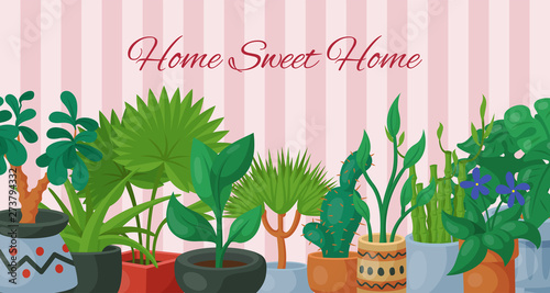 Home sweet home poster with house flowers indoor floriculture vector illustration. Nature decoration gardening. Indoor plants in flowerpot beauty decorative flora. Foliage garden houseplant.