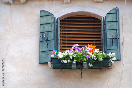 fresh flower on window