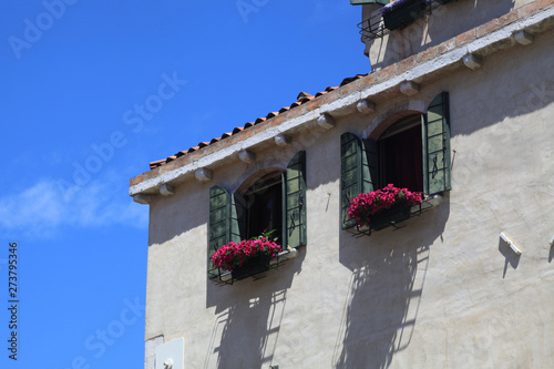 fresh flower on two window with blue sky background