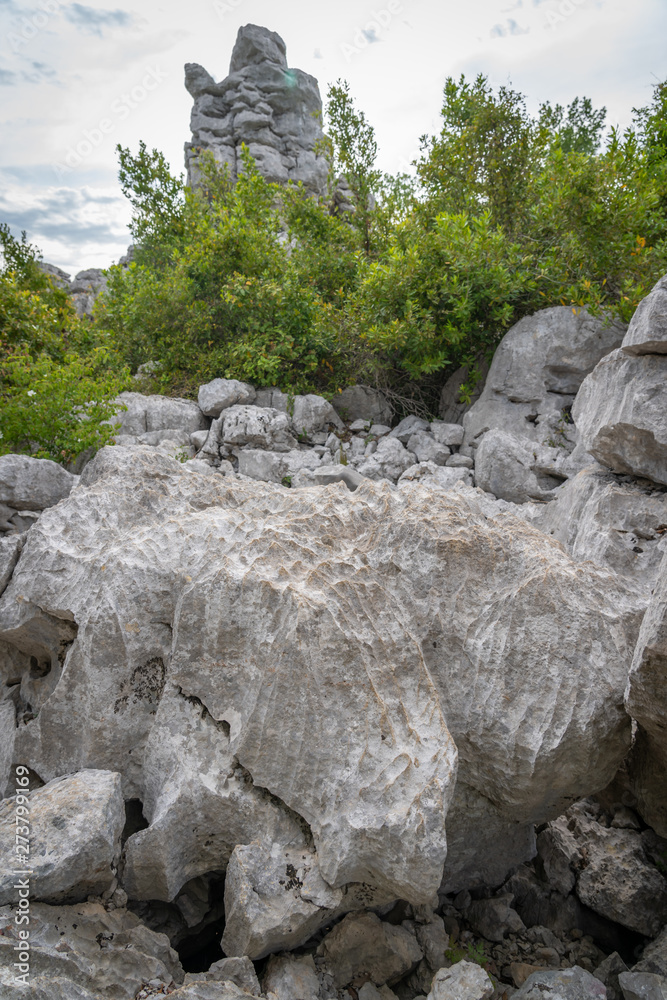 Sauve, France - 06 06 2019: Strange stones on green vegetation in the sea of rocks