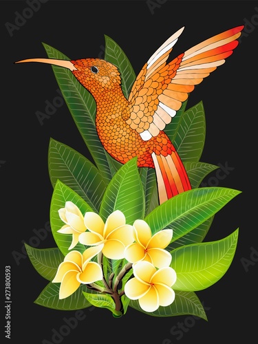 Summer design for advertising with hummingbird, tropical leaves and flowers