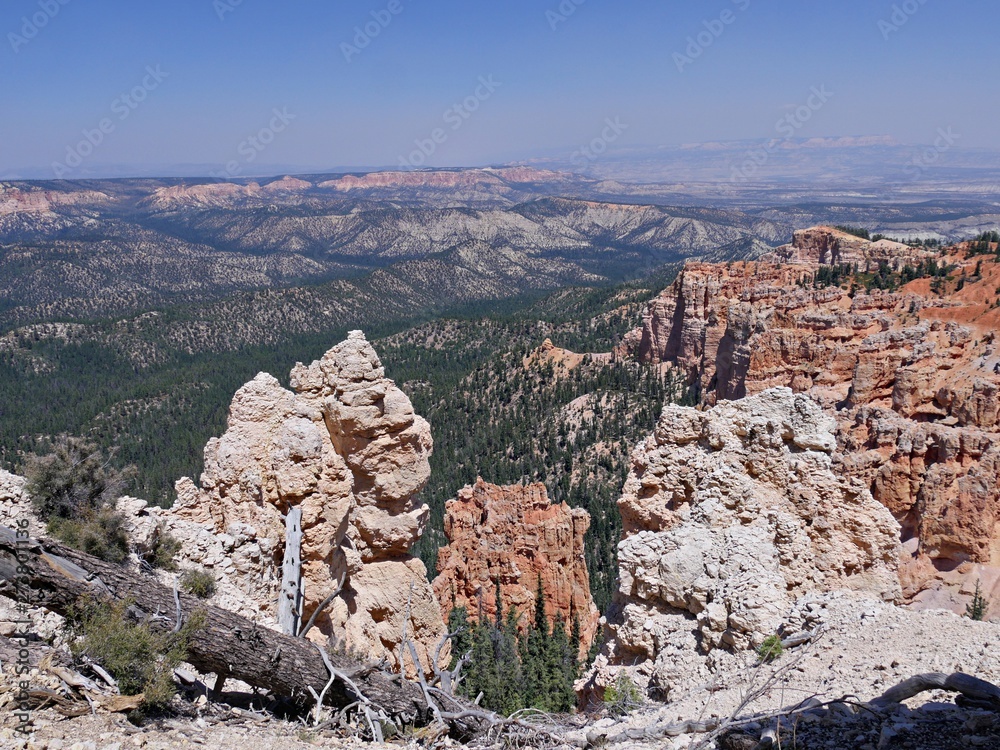 Stunning landscape of canyons and spires of rocks at Bryce Canyon National Park, seen from the Rainbow Point overlook.